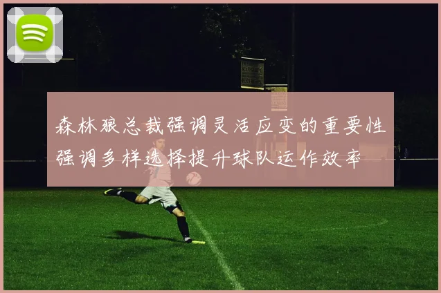森林狼总裁强调灵活应变的重要性强调多样选择提升球队运作效率