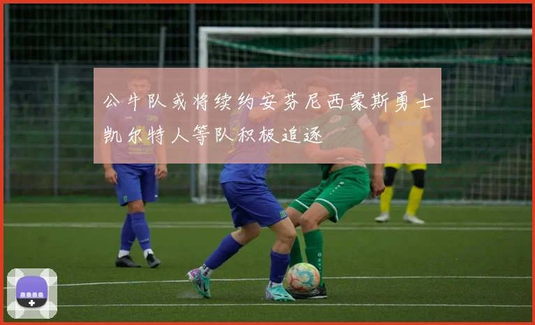 公牛队或将续约安芬尼西蒙斯勇士凯尔特人等队积极追逐