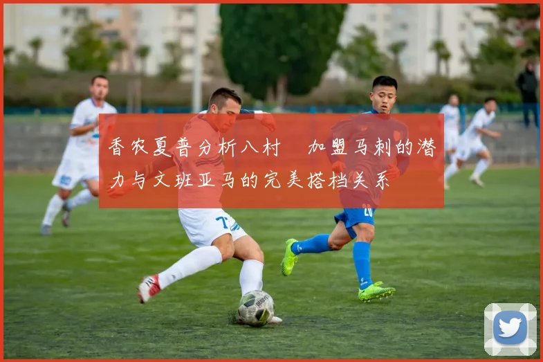 香农夏普分析八村塁加盟马刺的潜力与文班亚马的完美搭档关系